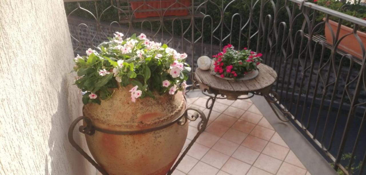 B&B La Giara Nicolosi Exterior photo